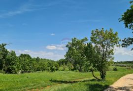 Poreč okolica: Građevinsko zemljište 7 km od Poreča, Poreč, Tierra