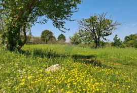 Poreč okolica: Građevinsko zemljište 7 km od Poreča, Poreč, Tierra