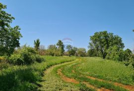 Poreč okolica: Građevinsko zemljište 7 km od Poreča, Poreč, Tierra