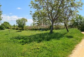 Poreč okolica: Građevinsko zemljište 7 km od Poreča, Poreč, Tierra