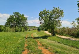 Poreč okolica: Građevinsko zemljište 7 km od Poreča, Poreč, Tierra