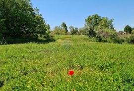 Poreč okolica: Građevinsko zemljište 7 km od Poreča, Poreč, Tierra