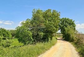 Poreč okolica: Građevinsko zemljište 7 km od Poreča, Poreč, Tierra