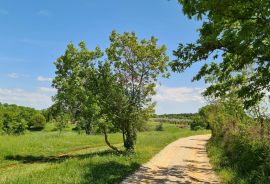 Poreč okolica: Građevinsko zemljište 7 km od Poreča, Poreč, Tierra