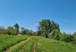 Poreč okolica: Građevinsko zemljište 7 km od Poreča, Poreč, Tierra