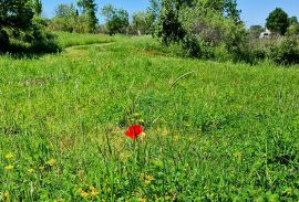 Poreč okolica: Građevinsko zemljište 7 km od Poreča, Poreč, Tierra