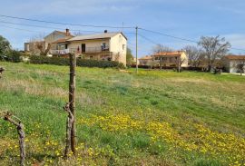 Istra, Karojba: Lijepa građevinska parcela južne orijentacije, Karojba, Land