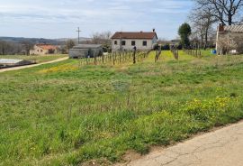 Istra, Karojba: Lijepa građevinska parcela južne orijentacije, Karojba, Γη