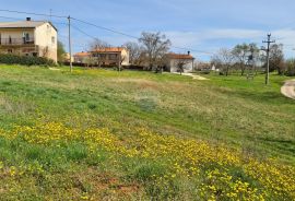 Istra, Karojba: Lijepa građevinska parcela južne orijentacije, Karojba, Tierra