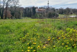 Istra, Karojba: Lijepa građevinska parcela južne orijentacije, Karojba, Tierra