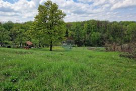 Donji Dragonožec | Građevinsko zemljište od 3100m2 s prekrasnim pogledom, Brezovica, Land