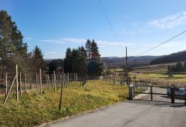 Zagorje, Zlatar (Gornja Selnica) - kuća sa lijepim dvorištem, Zlatar, Дом