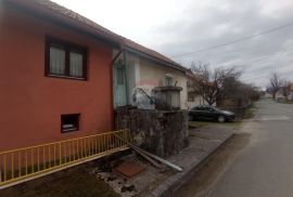 Drežnica,autohtona kuća sa zemljištem 25200 m2, Ogulin, House