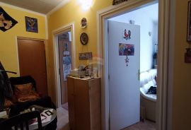 Rijeka, Centar, stan 72m2 - dvije stambene jedinice, Rijeka, Appartement