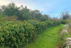 Poljoprivredno zemljište uz glavni put, Vodnjan, Terreno