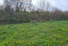 Istra, Manjadvorci, lijepa građevinska parcela na rubu mjesta, Barban, Zemljište