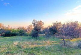 Građevinsko zemljište , panoramski pogled na more, Vodnjan, Land