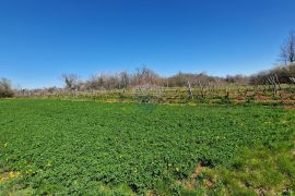 Savićenta, Ferlini, Negrađevinsko Zemljište 2305m2, Vodnjan, Zemljište