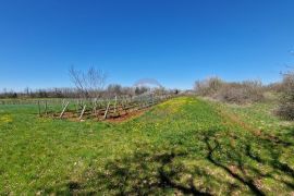 Savićenta, Ferlini, Negrađevinsko Zemljište 2305m2, Vodnjan, Tierra