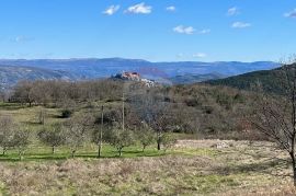 Motovun - okolica, poljoprivredno zemljište na izuzetnoj lokaciji, Karojba, Zemljište