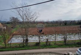 Pula, kuća s dva stana i okućnica od 15000 m2, Pula, Casa