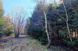 Lič - građevinski teren među smrekama 3179 m2, Fužine, Terreno