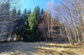 Lič - građevinski teren među smrekama 3179 m2, Fužine, Terreno