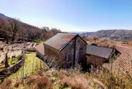 Tribalj, dvojna kuća s terasom, garažom i okućnicom, Vinodolska Općina, Haus