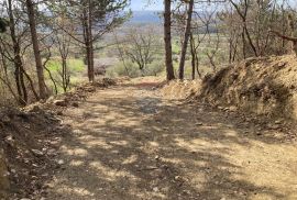 Grožnjan okolica, građevinsko zemljište s pogledom na more, Grožnjan, Terrain