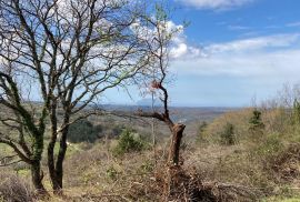 Grožnjan okolica, građevinsko zemljište s pogledom na more, Grožnjan, أرض