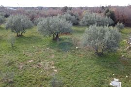 Građevinsko zemljište na atraktivnoj poziciji u Poreču, Poreč, Land