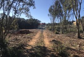 Istra,Pavićini,negrađevinsko zemljište blizu Duge uvale, Marčana, Terra