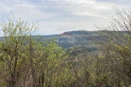 Pićan okolica, kuća s 11000 m2 okućnice, Pićan, Kuća