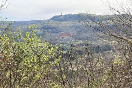 Pićan okolica, kuća s 11000 m2 okućnice, Pićan, Famiglia