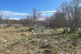 Otok Krk, Vrbnik, poljoprivredno zemljište, 2604 m2, Vrbnik, Terrain