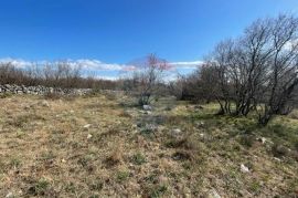 Otok Krk, Vrbnik, poljoprivredno zemljište, 2604 m2, Vrbnik, Terrain