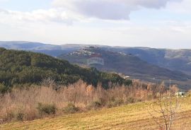 Istra, Motovun okolica - samostojeća autohtona kuća sa otvorenim pogledom na Motovun, Motovun, Kuća