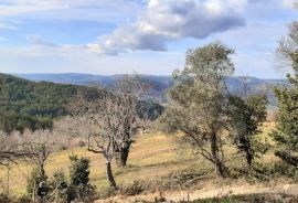 Istra, Motovun okolica - samostojeća autohtona kuća sa otvorenim pogledom na Motovun, Motovun, Haus