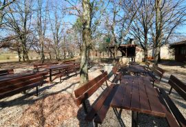 ISTRA, POREČ-seosko imanje s restoranom, Poreč, Poslovni prostor