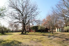 ISTRA, POREČ-seosko imanje s restoranom, Poreč, Poslovni prostor