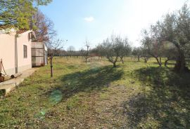 ISTRA, POREČ-seosko imanje s restoranom, Poreč, Gewerbeimmobilie