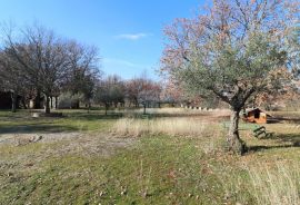 ISTRA, POREČ-seosko imanje s restoranom, Poreč, Εμπορικά ακίνητα