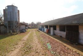 ISTRA, POREČ-seosko imanje s restoranom, Poreč, Poslovni prostor