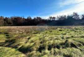 Istra,Bijažići-Građevinsko zemljište na rubnom dijelu naselja, Vodnjan, Terreno