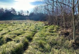 Istra,Bijažići-Građevinsko zemljište na rubnom dijelu naselja, Vodnjan, Terreno