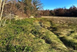 Istra,Bijažići-Građevinsko zemljište na rubnom dijelu naselja, Vodnjan, Γη