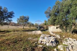 Istra, Rovinjsko Selo, poljoprivredno zemljište 27672m2, Rovinj, Земля