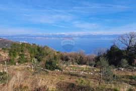 Mošćenice,poljoprivredno zemljište,maslinik, Mošćenička Draga, Tierra