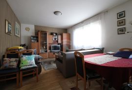 Petrinja, kuća 382 m2, 4 stambene jedinice, Petrinja, Famiglia