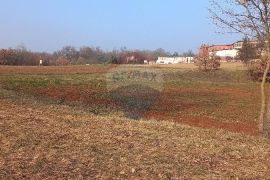 Okolica Pazina, građevinsko zemljište gospodarska zona, Pazin - Okolica, Land